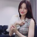 티엔티엔터테인먼트