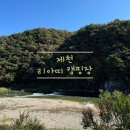 [캠핑] 단풍 맛집 / 충북 제천 신생 캠핑장 리아띠 캠핑장 RED-07 솔직 후기