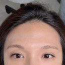 꼼꼼브로우살롱