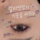 퍼플래쉬