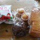 식빵이야기 - 제주시 | 식빵이야기