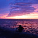 제주마중 판포 이미지