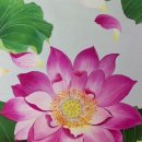 광명당 Daum카페