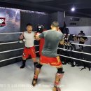 뉴챔프복싱 이미지