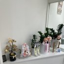 소원동물병원 이미지