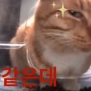 수연한의원 이미지