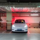 [테슬라] Tesla Model Y RWD 남양주 마젠타 썬팅 후기