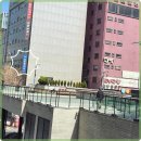 삼성렌트카 이미지