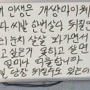 보이빙글 이미지