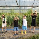 대구농장 이미지