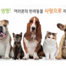 홈케어서비스연구소*전자상거래 | 제7회 광주펫쇼 참가업체 - 서비스