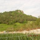 장보고횟집 이미지