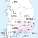 김덕란의병장창의록 | ➳ ‘정유재란’ ⑧ * 고경명. 영규. 왜교성. 강씨 여인