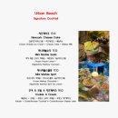 새하얀 | [마포구/상수] 루프탑어반비치 _칵테일바/ 내돈내산 후기/ 새하얀 모래사장/ 분위기 좋은 칵테일바