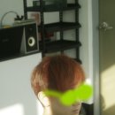 이스트헤어 (East Hair) 이미지