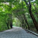 연산사거리 벌곡 방면 이미지