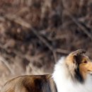 레디에이트(RADIATE) 이미지