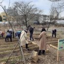 서구치매안심센터(1) 이미지