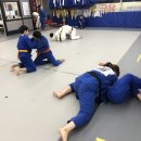 송도 RU 유도 GYM 이미지