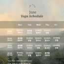 사하라동물병원 이미지