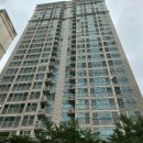 안양중앙초등학교 이미지