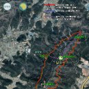 달마고도 Daum카페