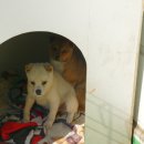 영신상사 이미지