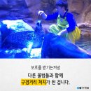 이상한나라의수족관