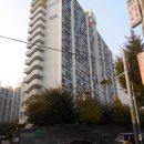 느티나무동물약국 이미지