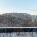 [내돈내산] 에코백스 윈봇 W2 옴니 한달 사용 후기｜창문로봇청소기 삶의 질 달라짐
