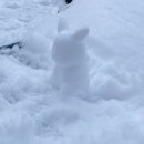 비에이(B/A) | 폭설속 고난도 삿포로 여행 2일차-비에이투어