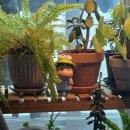 화신웰빙 이미지