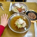 은미밀면 | 경주황리단길맛집 은미밀면｜현지인이 찾는 경주밀면맛집