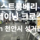 스트롱베리 트레이닝 이미지