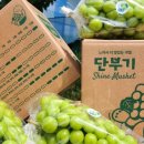 단북애청년 이미지