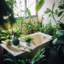 행운여관 - 세종특별자치시 새내11길 13 | 행운여관