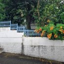 숲정이주유소 이미지