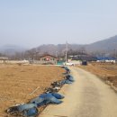 옥천군청성면도곡보건진료소 이미지