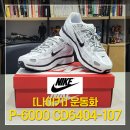 P-6404 | [나이키]운동화 P-6000 CD6404-107 구매후기