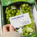 파머스청과