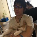 오월오일