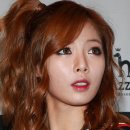 도도한고양이 이미지