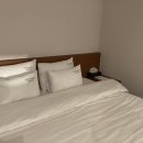 래디언스관광호텔 이미지