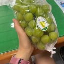 947 | 무신사 3500원 그린몬스터 헐리우드48시간 947ml 구매 내돈내산 후기