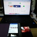 마이바디1253