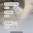 새울병원 | QWER: 인간의 마음을 가지지 못한 사이보그 장나영