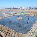 [경기도 가족 당일 여행지 /시흥 연꽃테마파크 연꽃축제 / 가볼만한 곳 관곡지 / 서울근교 가족여행 / 그린웨이 자전거길] 이미지