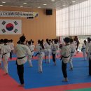 영재태권도체육도장 이미지