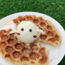 용수양봉카페