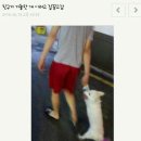 네네치킨.네네피자 이미지